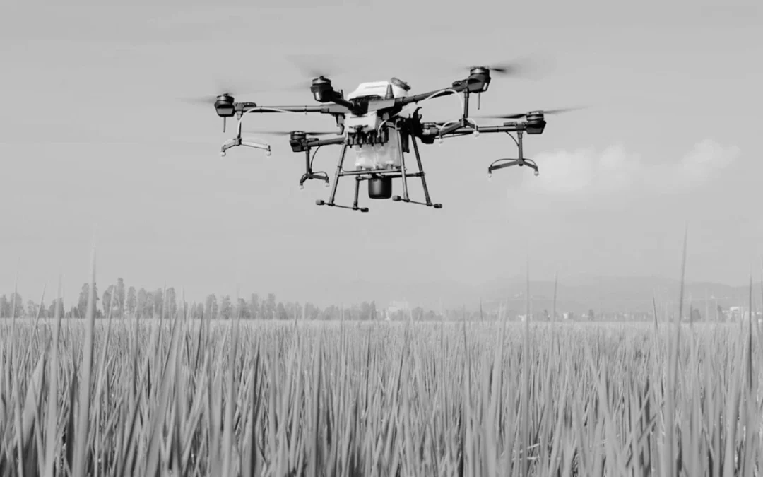 Nuevo curso: «Piloto profesional de drones (STS)»