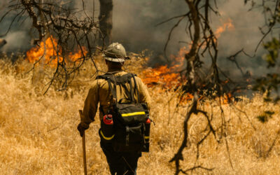 Operaciones de vigilancia y extinción de incendios forestales y apoyo a contingencias en el medio natural y rural