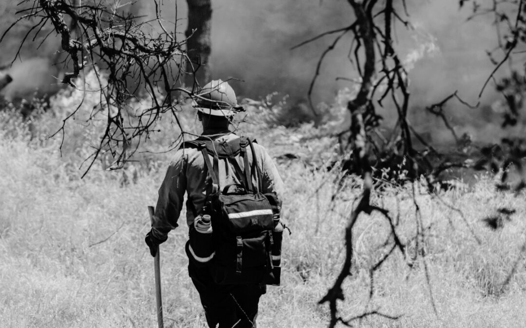 Nuevo curso: «Operaciones de vigilancia y extinción de incendios forestales y apoyo a contingencias en el medio natural y rural» 