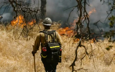Operaciones de vigilancia y extinción de incendios forestales y apoyo a contingencias en el medio natural y rural